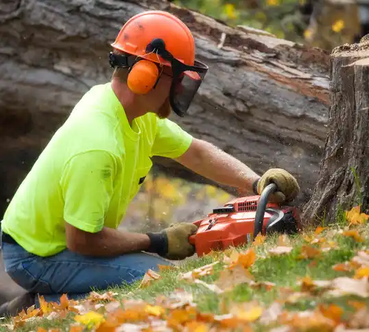 tree services Reese